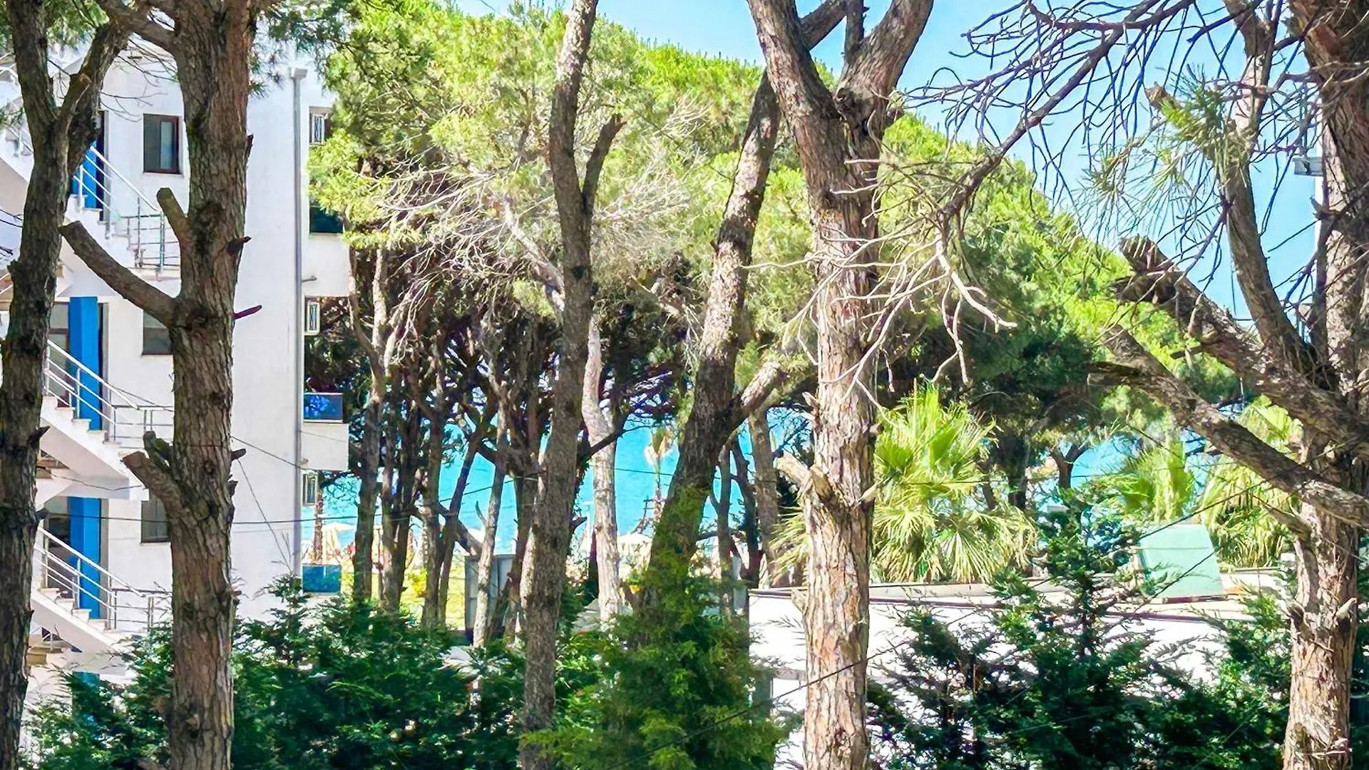 Apartment 1 Bedroom 675 Golem  Albania